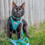 Cat Step-In Harness - Hello Kitty® Aqua