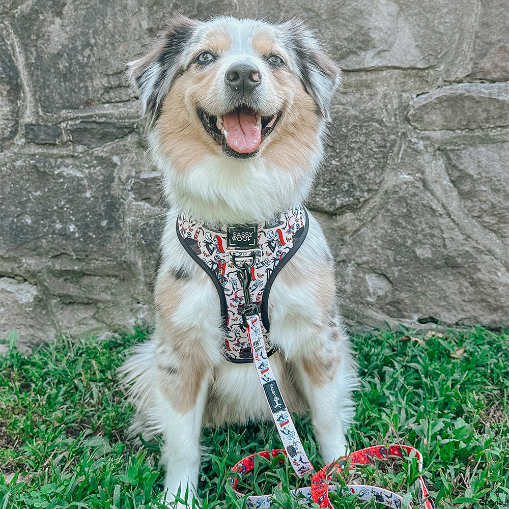Dog Collar - The Nightmare Before Christmas™ (Beige)