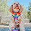 Dog Adjustable Harness - Love You Fur You
