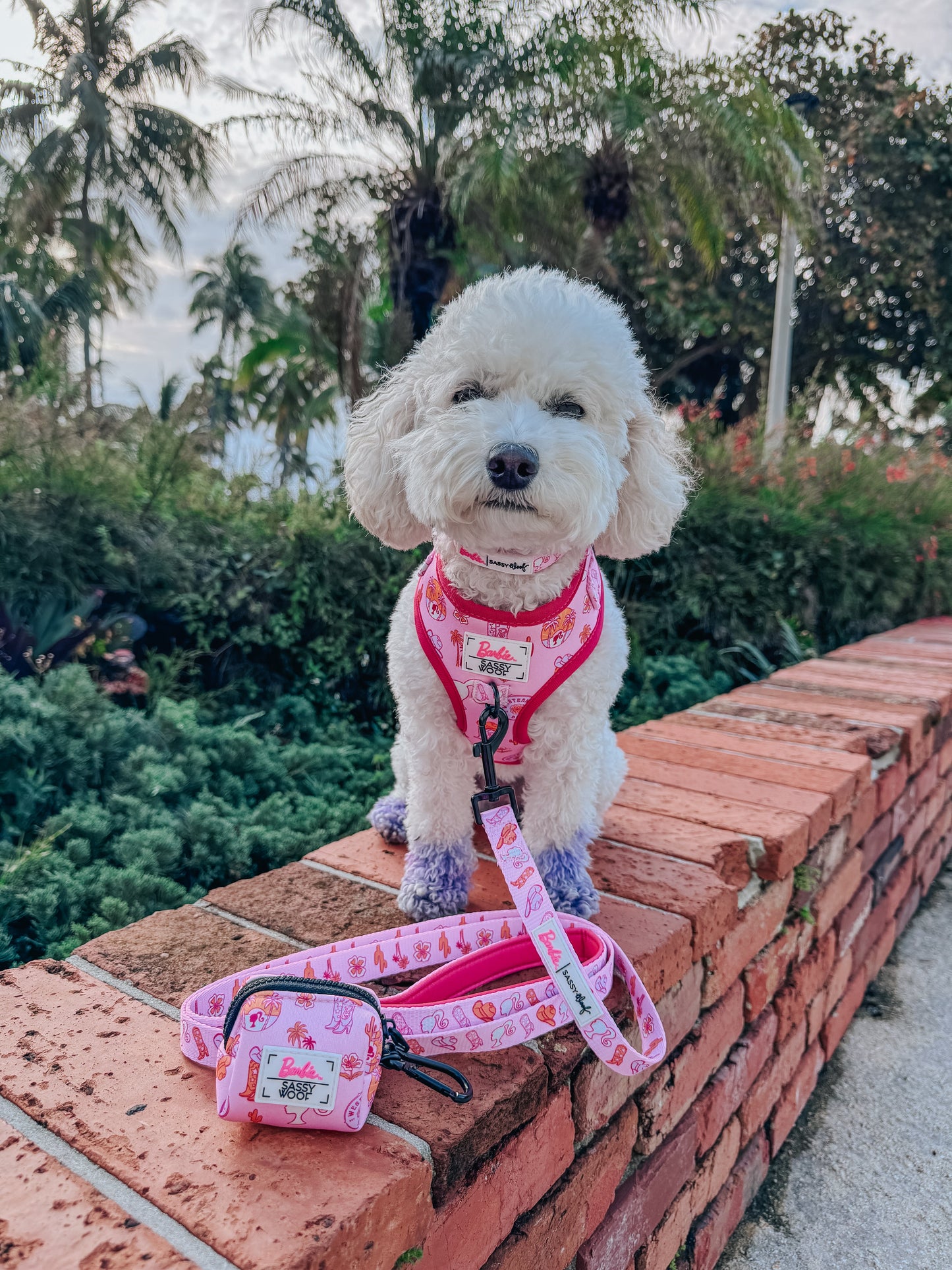 Dog Adjustable Harness - Western Barbie™