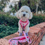 Dog Leash - Western Barbie™