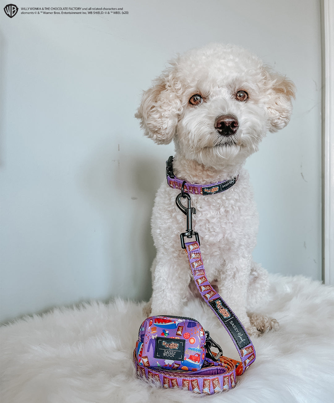 Dog Collar - Willy Wonka & The Chocolate Factory™