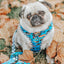 Dog Leash - Hot Wheels™