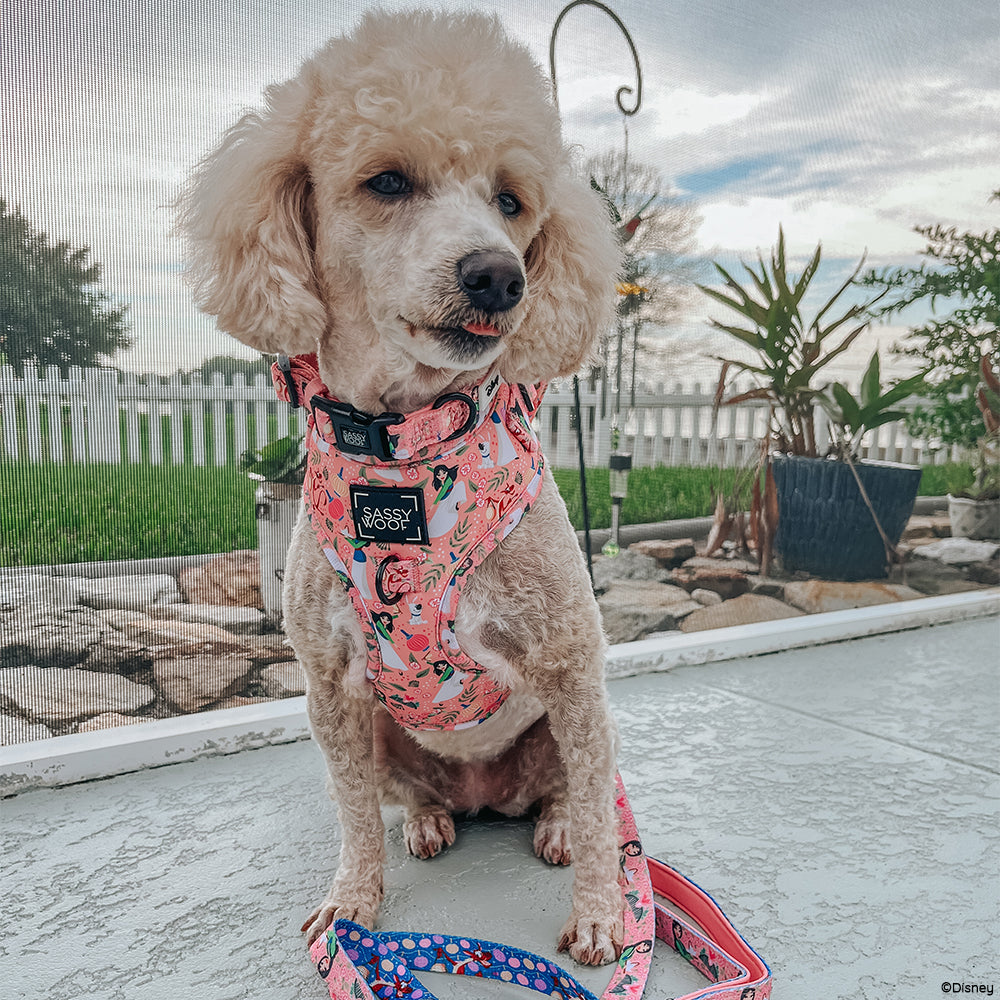 Dog Adjustable Harness - Disney's Mulan
