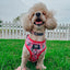 Dog Adjustable Harness - Looney Tunes™ Pink