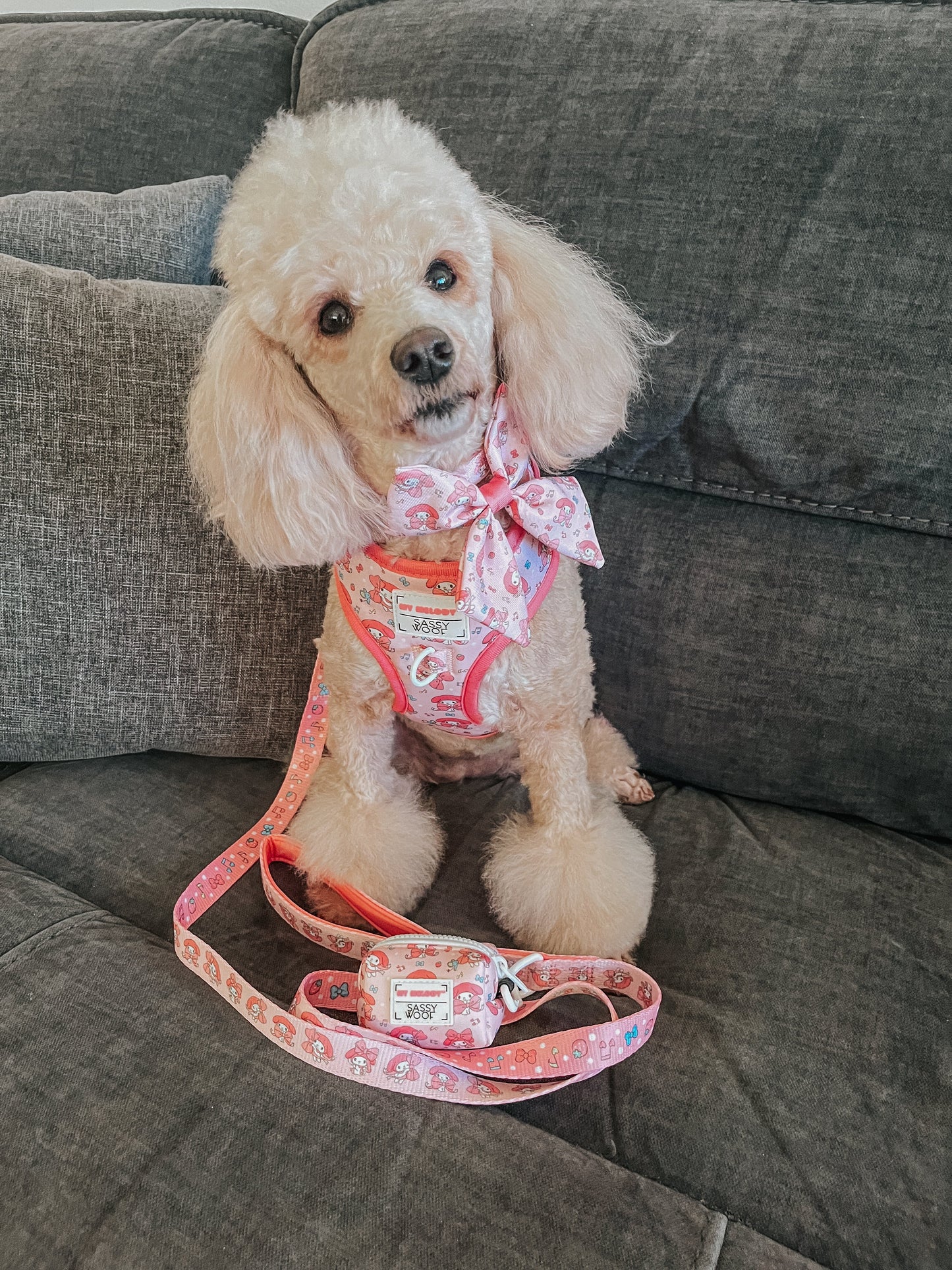 Dog Adjustable Harness - My Melody™