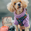 Dog Adjustable Harness - Neon Frights