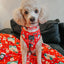 Dog Adjustable Harness - Sleigh Baby Sleigh