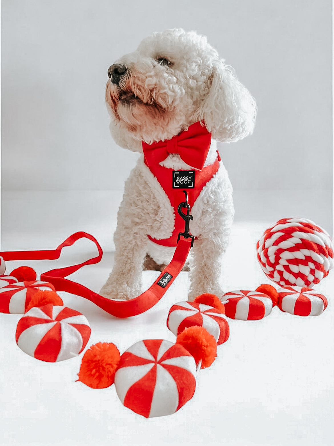 Dog Adjustable Harness - Naughty
