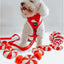 Dog Collar - Naughty