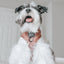 Dog Adjustable Harness - Teddy