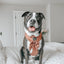 Dog Adjustable Harness - Teddy