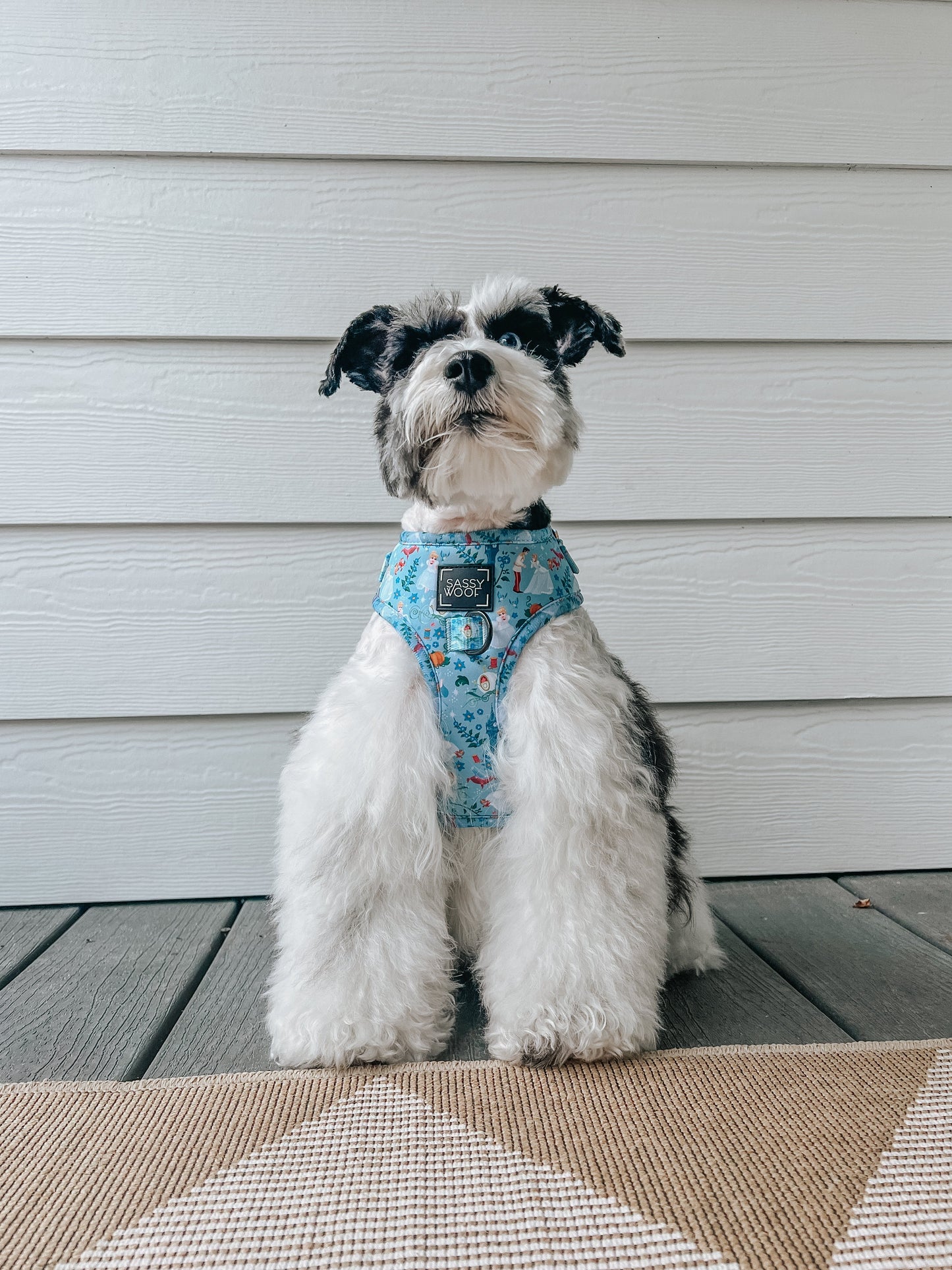 Dog Adjustable Harness - Disney's Cinderella