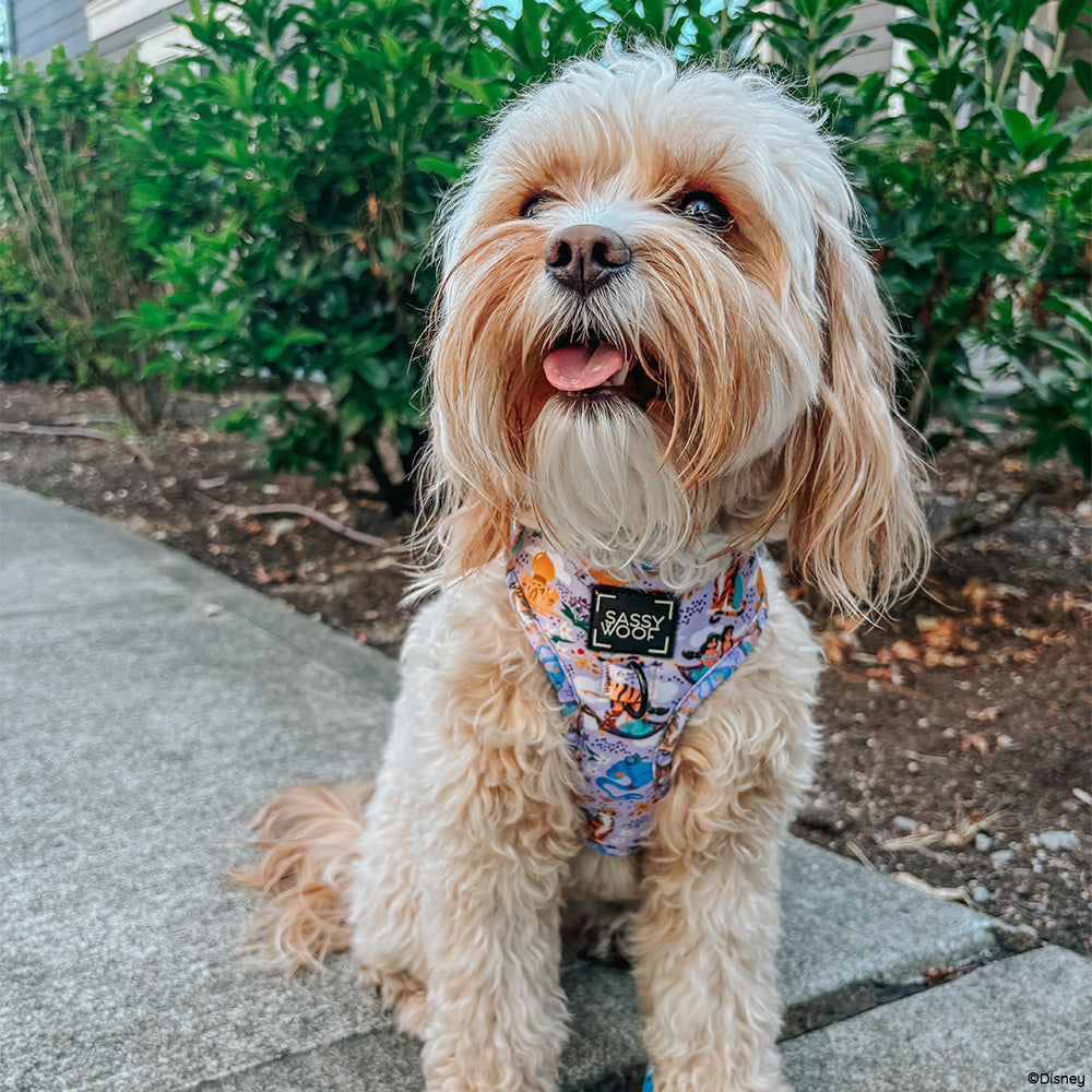 Dog Adjustable Harness - Disney's Jasmine