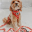 Dog Collar - Hello Kitty® Red Classic