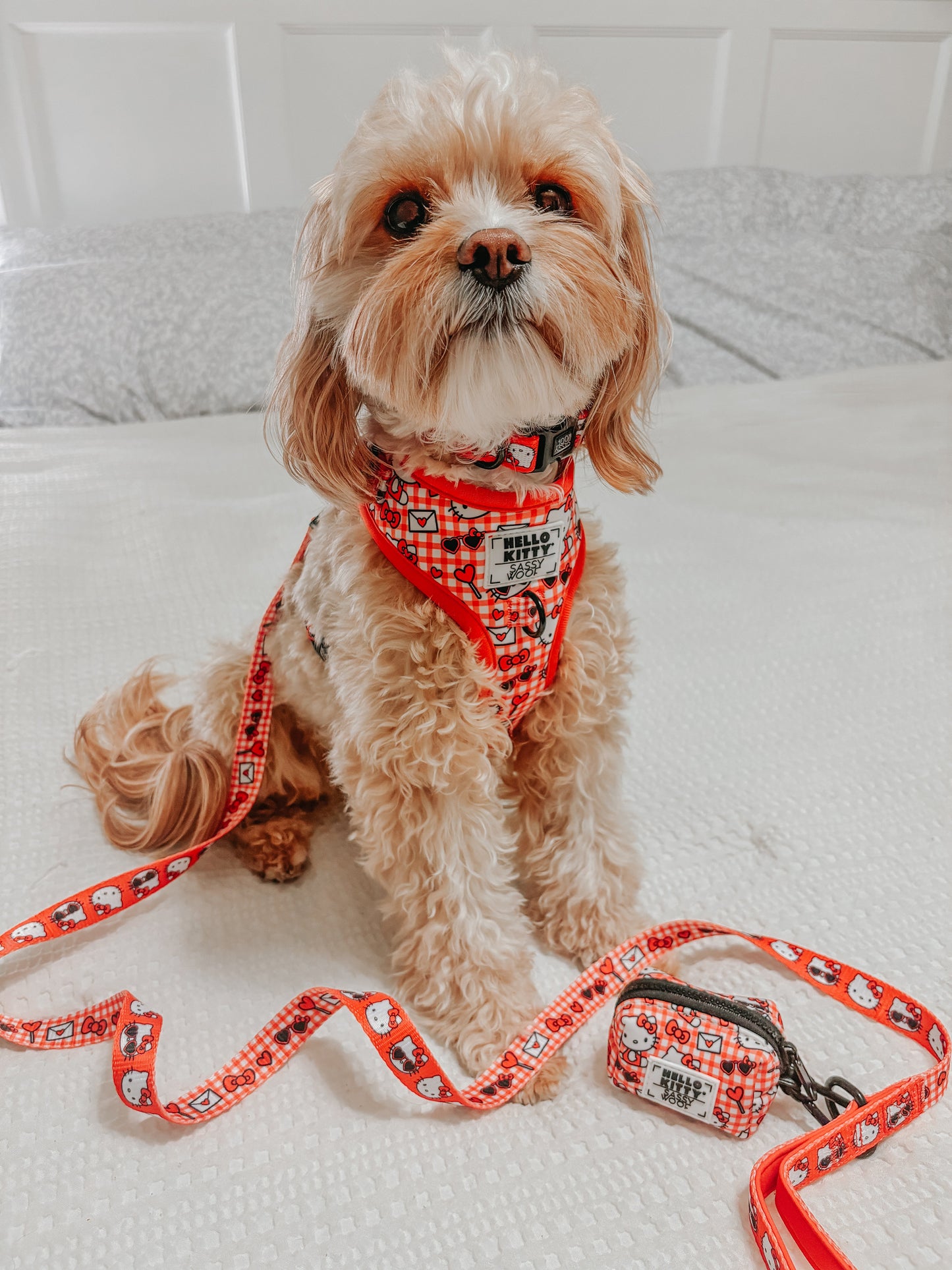 Dog Collar - Hello Kitty® Red Classic
