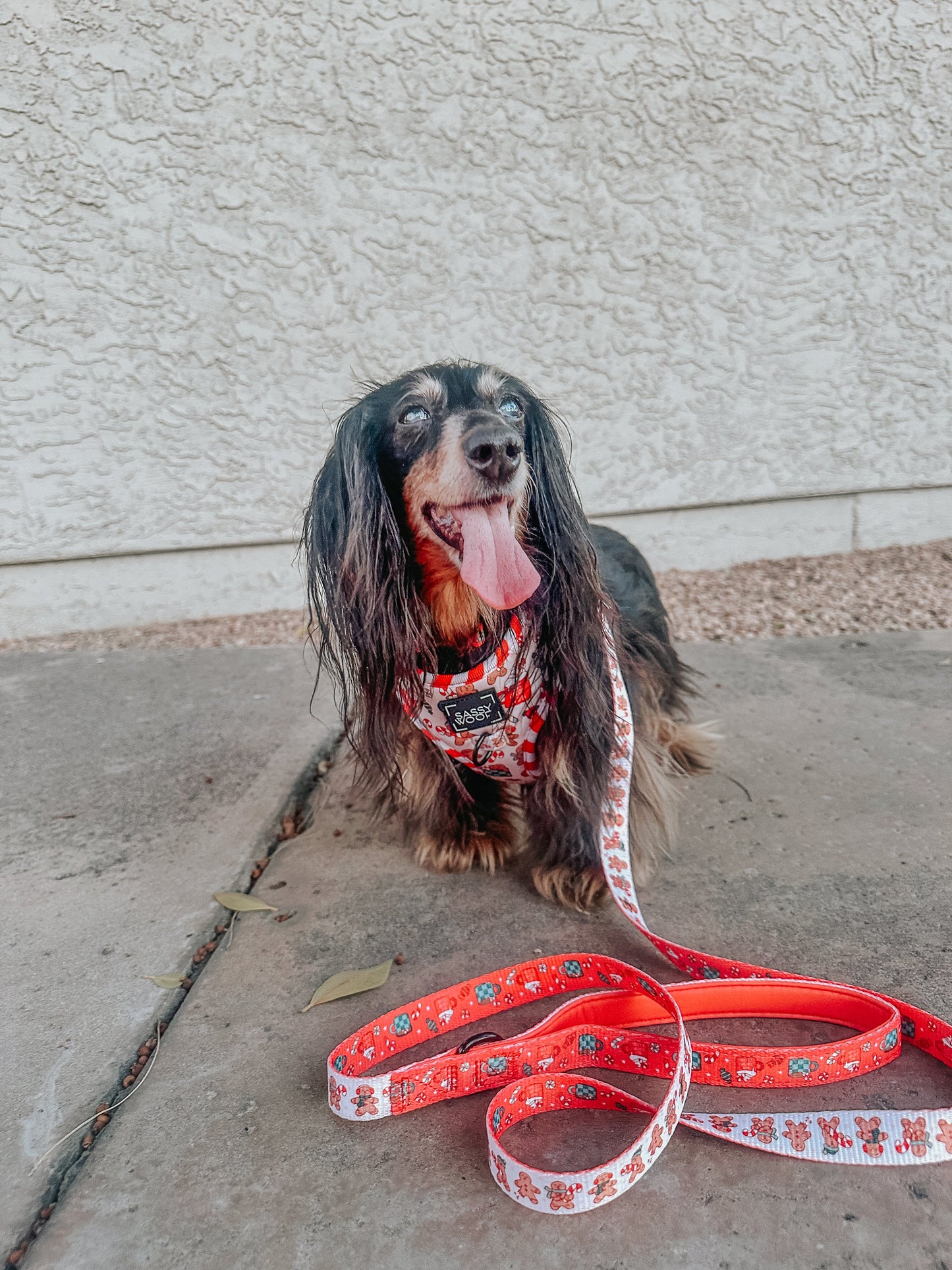 Dog Adjustable Harness - Hot Cocoa Club