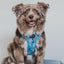 Dog Adjustable Harness - Disney's Cinderella