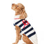 Love Note Dog Sweater