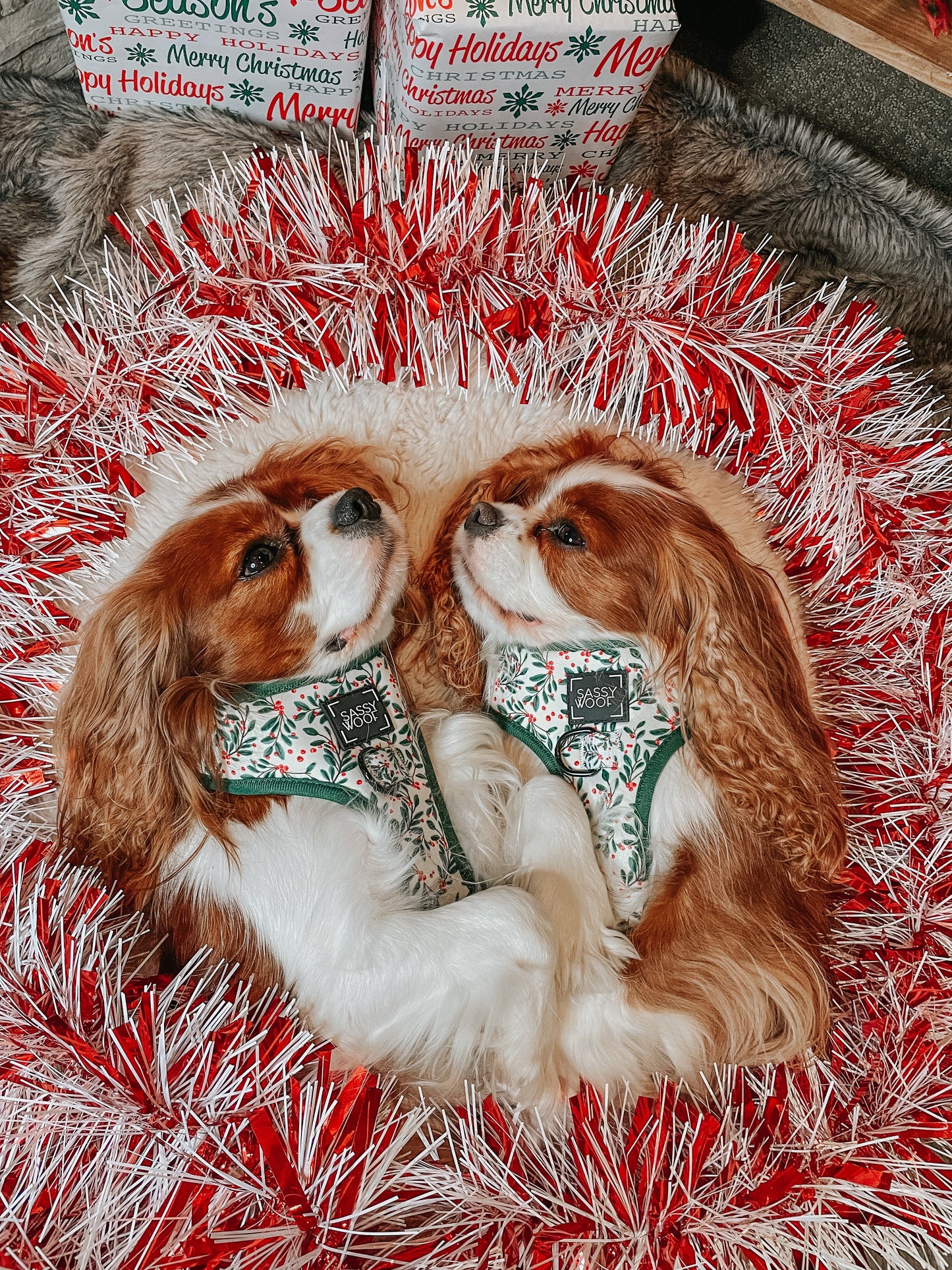 Dog Adjustable Harness - Under the Mistletoe