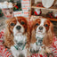 Dog Adjustable Harness - Under the Mistletoe