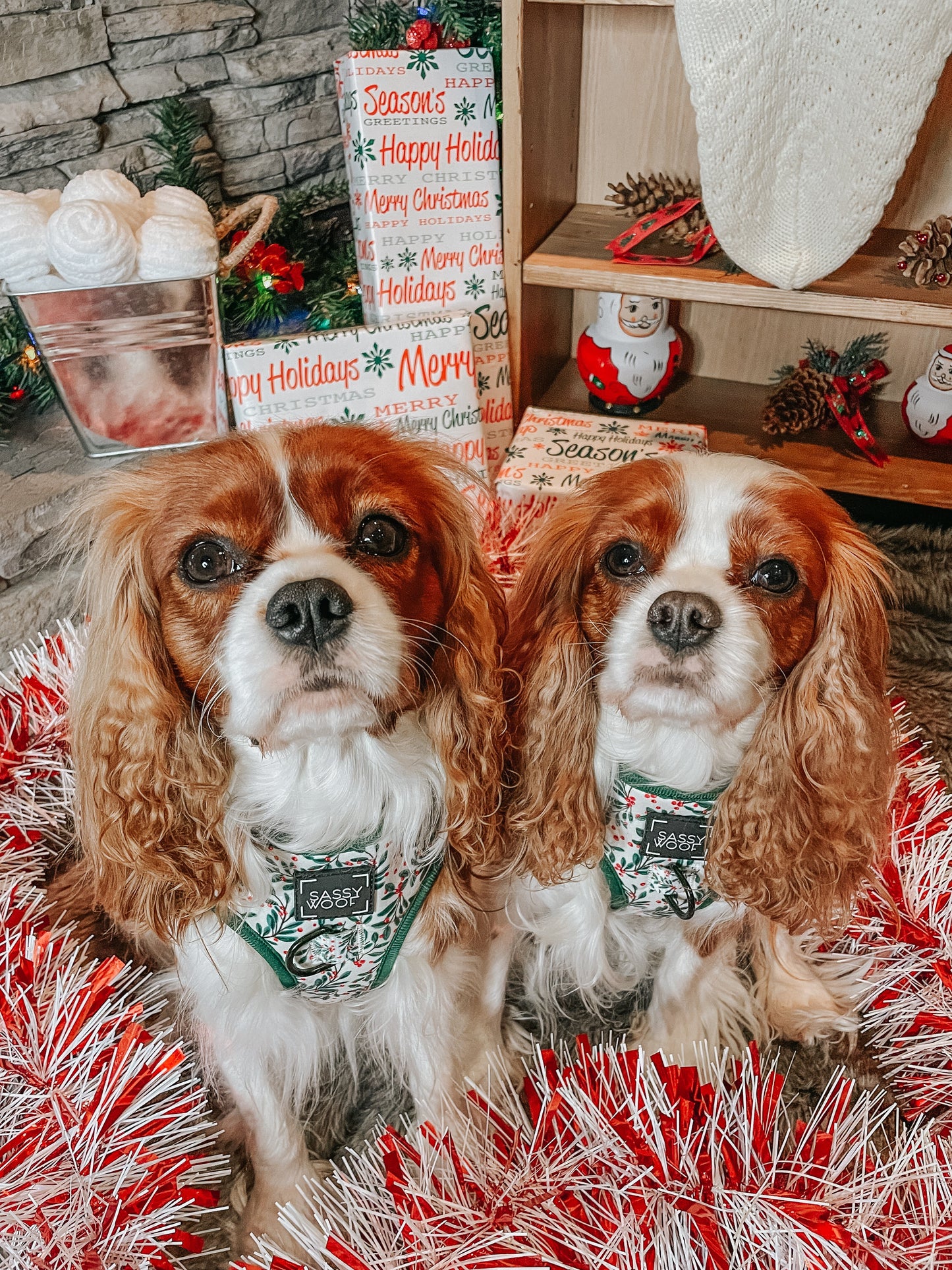 Dog Adjustable Harness - Under the Mistletoe