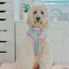 Dog Collar - Polly Pocket™