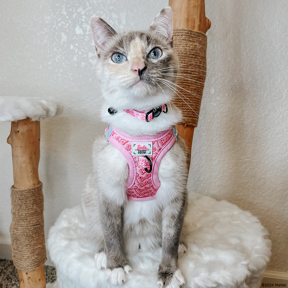 Cat Collar - BARBIE™ Malibu