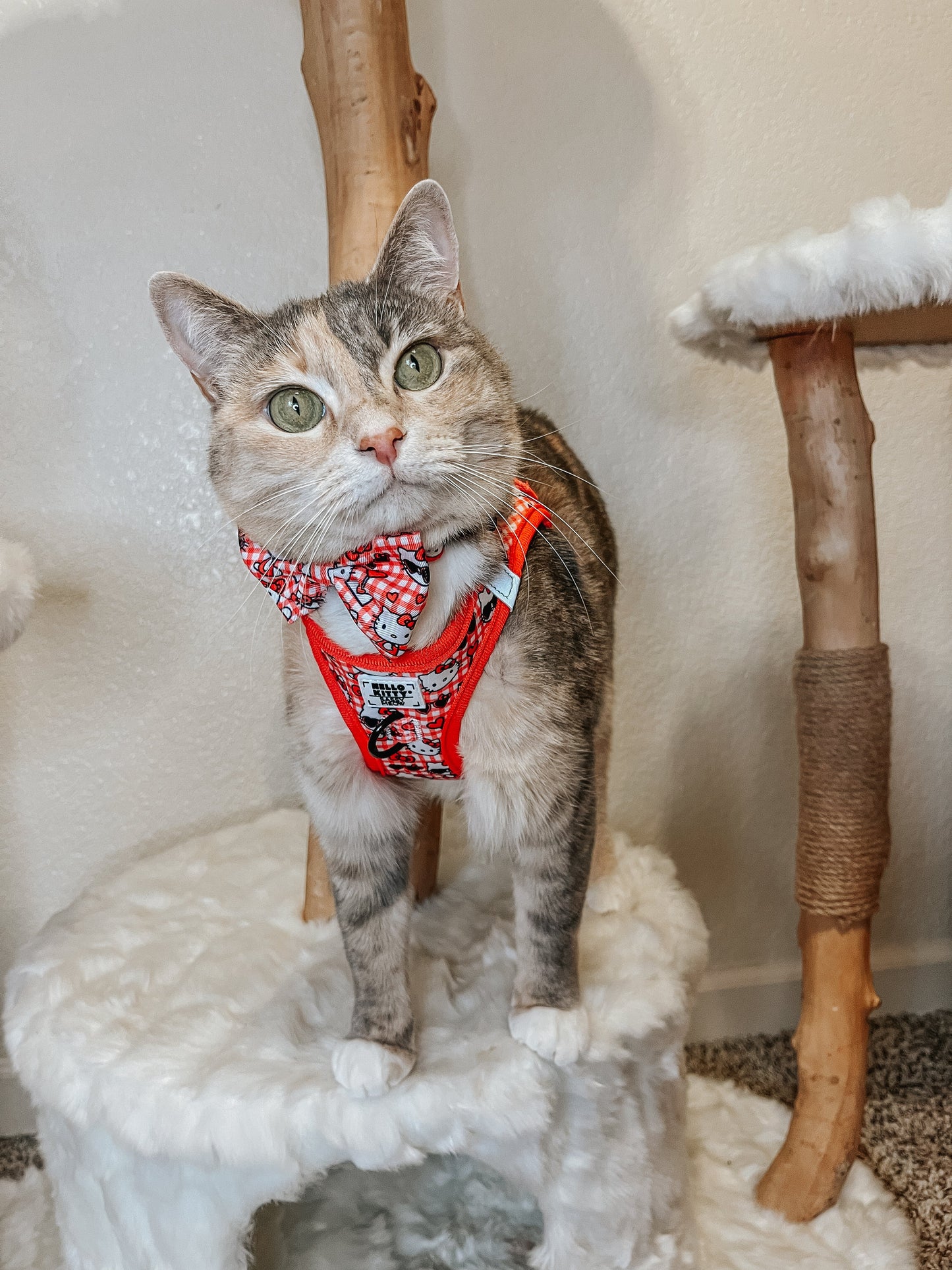 Cat Collar - Hello Kitty® Red Classic