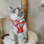 Cat Bowtie - Hello Kitty® Red Classic