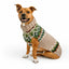 Ragg Wool Fair Isle Dog Sweater