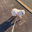 Dog Rope Leash - La Jolie Fleur