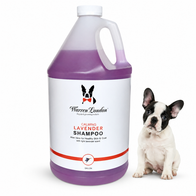 Calming Lavender Dog Shampoo w/Aloe Vera & Essential Oils - Professional Size