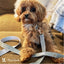 Fabric Dog Leash - Grey