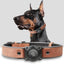 Leather AirTag Dog Collar with Built-In Holder, Reflective Adjustable Design
