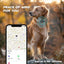 Leather AirTag Dog Collar with Built-In Holder, Reflective Adjustable Design