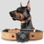 Leather AirTag Dog Collar with Built-In Holder, Reflective Adjustable Design
