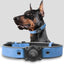 Leather AirTag Dog Collar with Built-In Holder, Reflective Adjustable Design