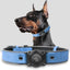 Leather AirTag Dog Collar with Built-In Holder, Reflective Adjustable Design