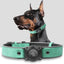 Leather AirTag Dog Collar with Built-In Holder, Reflective Adjustable Design