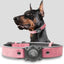 Leather AirTag Dog Collar with Built-In Holder, Reflective Adjustable Design