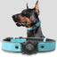 Leather AirTag Dog Collar with Built-In Holder, Reflective Adjustable Design
