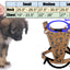 Premium Basket Tooled Gaucho Leather Padded Dog Pulling Harness