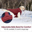 Lelepet Waterproof Reversible Dog Coat – Winter Puffer Vest, 2-in-1, XS-3X