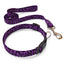 Leopard Purple Dog Collar