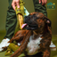 Flaxseed & Mint Cheese Chews for Dogs