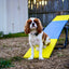 Better Sporting Dogs Practice See Saw – Fully Assembled Practice Teeter for Dog Agility Training