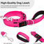 Light Up LED Dog Leash 6FT – USB Rechargeable Glow Leash for Night Safety