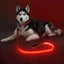 Light Up LED Dog Leash 6FT – USB Rechargeable Glow Leash for Night Safety
