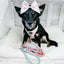 Dog Rope Leash - Lollipup
